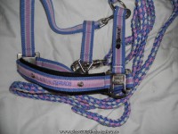 /album/a2009/a8fc95259ded4af82adc5d448af66515419064308-jpg/