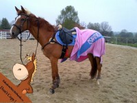 /album/a2009/anous-jpg/